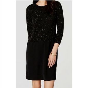 Anne Taylor Loft Speckled sweater dress